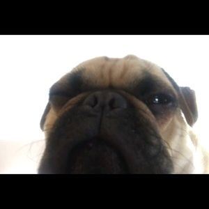 Meet your Posher, Elise